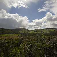 Buy canvas prints of Brecon Beacons national park  by Sara Messenger