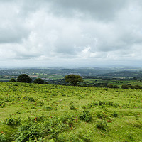 Buy canvas prints of Dartmoor Views by Sara Messenger