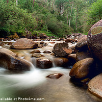 Buy canvas prints of Bogong Dream by Mark Lucey