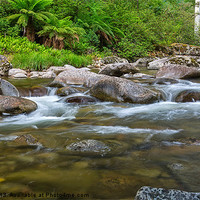 Buy canvas prints of Rocky Valley Creek - Alpine National Park Victoria by Mark Lucey