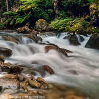 Buy canvas prints of Natural Smoother by Mark Lucey