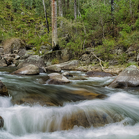 Buy canvas prints of Rocks & Rapids by Mark Lucey