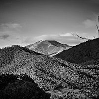 Buy canvas prints of Mt Feathertop by Mark Lucey