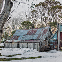 Buy canvas prints of Hut in the Snow by Mark Lucey