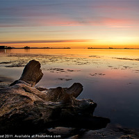 Buy canvas prints of Stumped at Portland Breakwater by Chris Frost