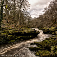 Buy canvas prints of The Strid Squeeze by Chris Frost