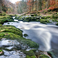 Buy canvas prints of The Enchanted Strid by Chris Frost