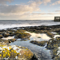 Buy canvas prints of Craster Harbour Rock Pools by Chris Frost