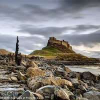 Buy canvas prints of Path to Lindisfarne Castle by Chris Frost