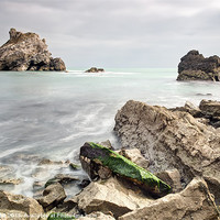 Buy canvas prints of Mupe Bay Ledges by Chris Frost