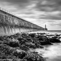 Buy canvas prints of The Pier at Tynemouth by Chris Frost