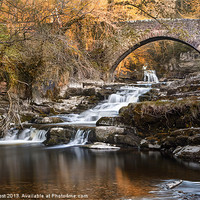 Buy canvas prints of West Burton Falls by Chris Frost
