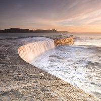 Buy canvas prints of Sunkissed Cobb at Lyme Regis by Chris Frost