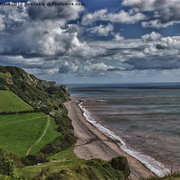 Buy canvas prints of Clifftop View by Neal P