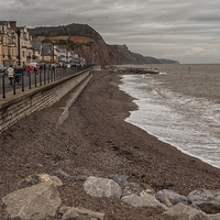 Buy canvas prints of Sidmouth by Neal P