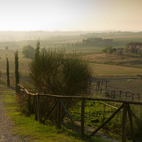 Buy canvas prints of Morning in Tuscany by Neal P