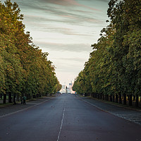 Buy canvas prints of Tree Lined Avenue by Neal P