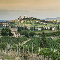 Buy canvas prints of Towers of San Gimignano by Neal P