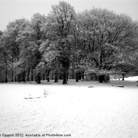 Buy canvas prints of Snowy Hampstead Heath by Caroline Opacic