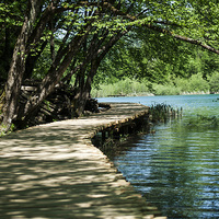 Buy canvas prints of  Plitvice Lakes Walkway by Caroline Opacic