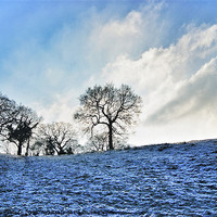 Buy canvas prints of Frosty Morning by Rachael Hood