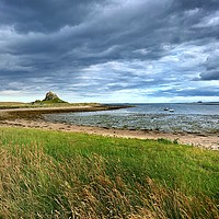 Buy canvas prints of Lindisfarne coast by Rachael Hood