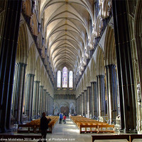 Buy canvas prints of Salisbury Cathedral by Andrew Middleton