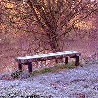 Buy canvas prints of The Bench by Andrew Middleton