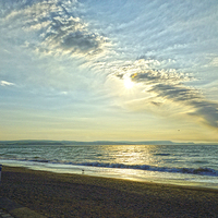 Buy canvas prints of  Weymouth Beach by Andrew Middleton