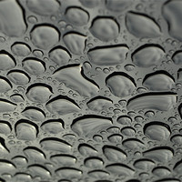 Buy canvas prints of rain drops by mark coates