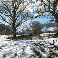 Buy canvas prints of Borrowdale Winter by John Dunbar