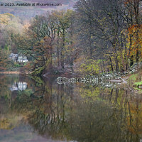 Buy canvas prints of Rydal Autumn Colours by John Dunbar
