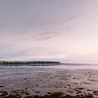Buy canvas prints of Low Tide at Budle Bay by John Dunbar