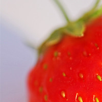 Buy canvas prints of Strawberry by Phil Clements