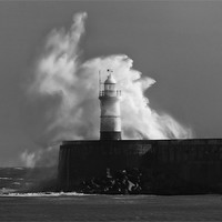 Buy canvas prints of Newhaven Lighthouse by Phil Clements