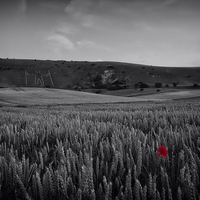 Buy canvas prints of The Long Man by Phil Clements