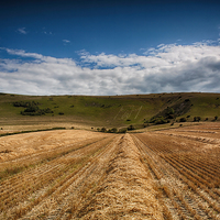 Buy canvas prints of  The Long Man by Phil Clements