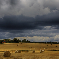 Buy canvas prints of  Harvest Time, Glynde by Phil Clements