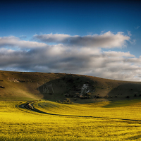 Buy canvas prints of  The Long Man by Phil Clements