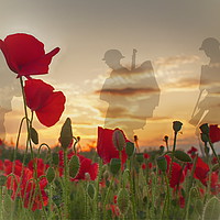 Buy canvas prints of Remembrance by Phil Clements