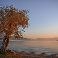 Buy canvas prints of Dassia, Corfu Sunrise by Phil Clements