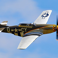 Buy canvas prints of Mustang by Bernie Condon