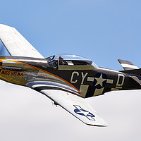 Buy canvas prints of Mustang by Bernie Condon