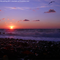 Buy canvas prints of Eastbourne Beach sunrise. by camera man
