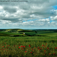 Buy canvas prints of Poppy view. by camera man