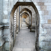 Buy canvas prints of Cathedral Walk. by camera man