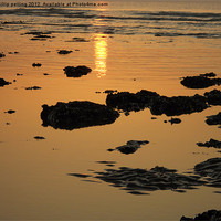 Buy canvas prints of On Golden Tide by camera man