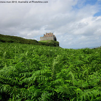 Buy canvas prints of Castle Ferns by camera man