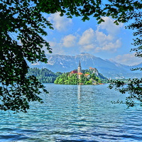 Buy canvas prints of  Bled Island by camera man