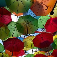 Buy canvas prints of Umbrellas by camera man